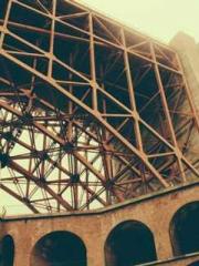 The Realm of the Dao