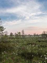 The Beloved Physicia