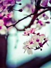 Cultivating My Empre