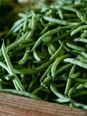 A salted fishapos;s 