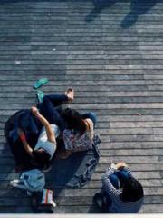 lt;Gingerly, Shen Qi